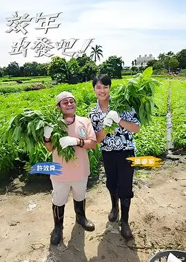 综艺频道抽屉封面：季播编排与期数标签示意